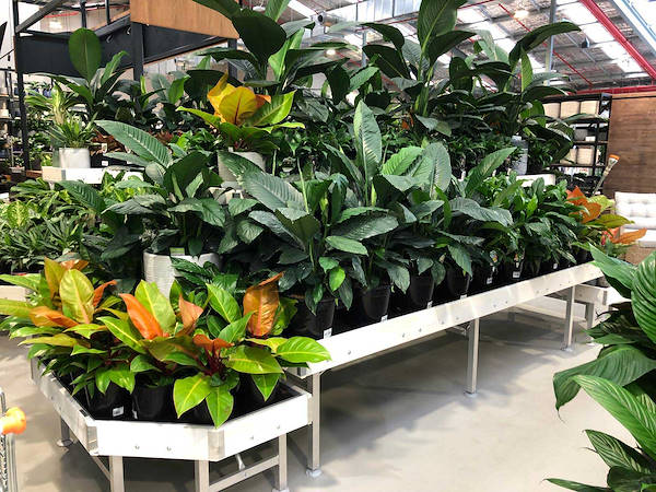 Neuer Garten Center Flower Power“