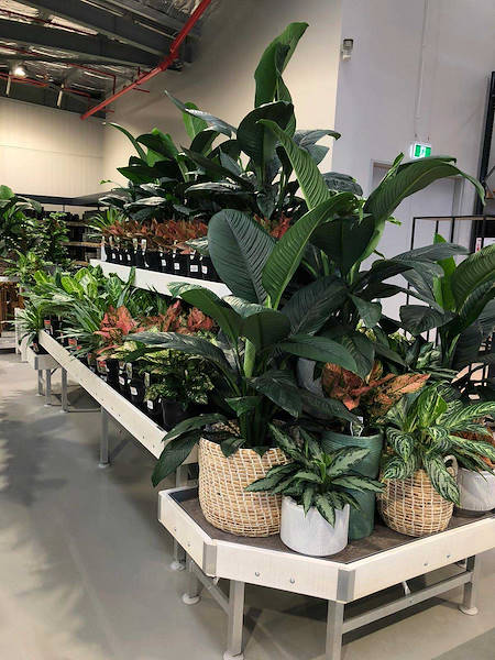 Neuer Garten Center Flower Power“