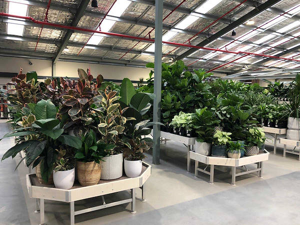 Neuer Garten Center Flower Power“