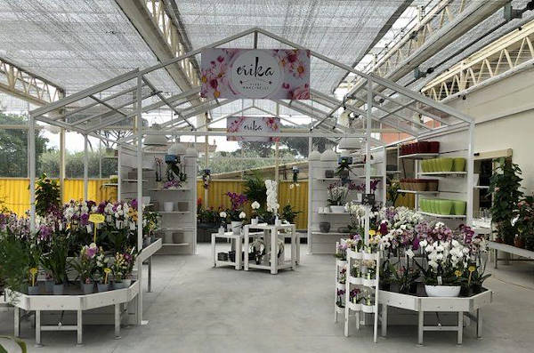 Neuer Look für Erika Vivai Mancinelli