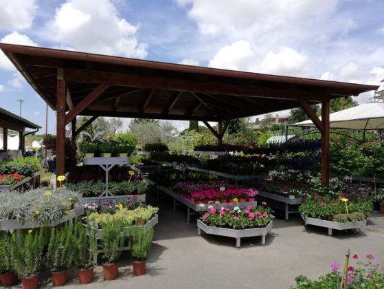 Neuer Look für Erika Vivai Mancinelli