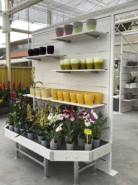 Neuer Look für Erika Vivai Mancinelli