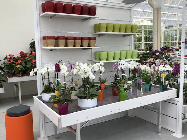 Neuer Look für Erika Vivai Mancinelli