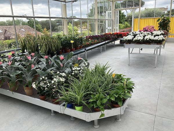 Neuer Look für Erika Vivai Mancinelli