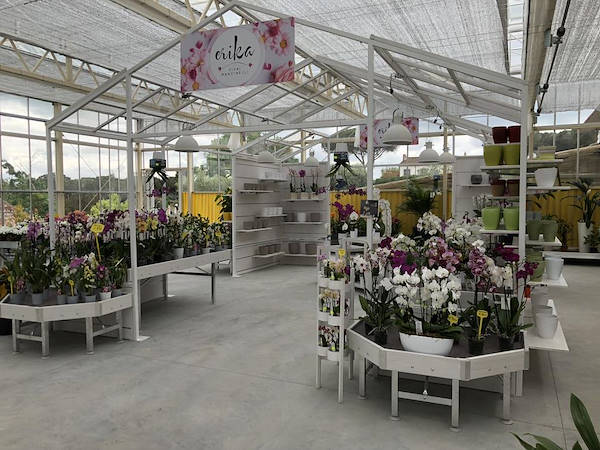 Neuer Look für Erika Vivai Mancinelli