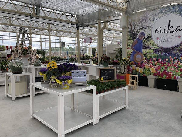 Neuer Look für Erika Vivai Mancinelli