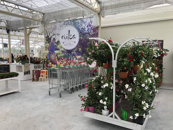 Neuer Look für Erika Vivai Mancinelli