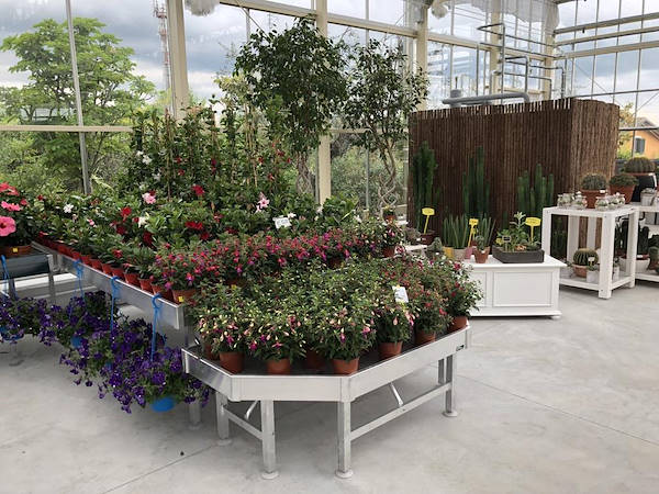 Neuer Look für Erika Vivai Mancinelli