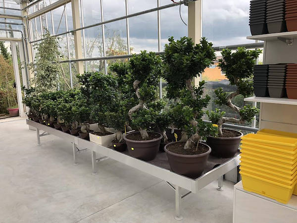 Neuer Look für Erika Vivai Mancinelli