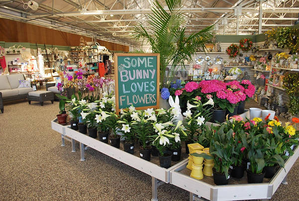 Neueröffnung der Garden Center Petitti