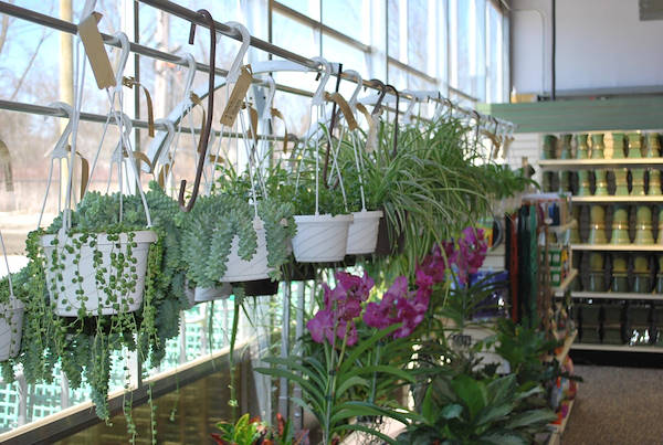 Neueröffnung der Garden Center Petitti