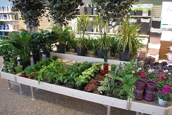 Neueröffnung der Garden Center Petitti