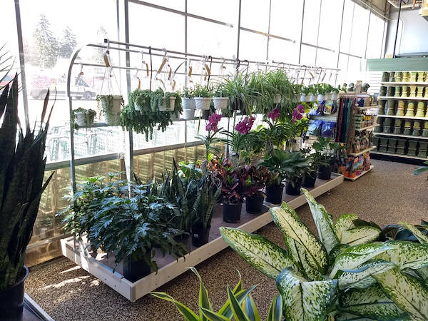 Neueröffnung der Garden Center Petitti