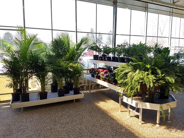 Neueröffnung der Garden Center Petitti