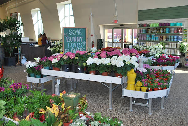 Neueröffnung der Garden Center Petitti
