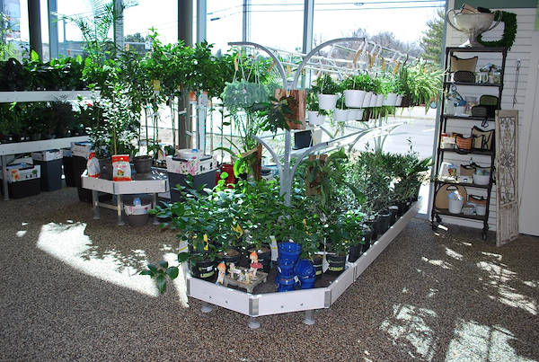 Neueröffnung der Garden Center Petitti