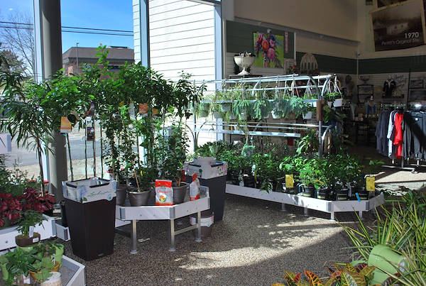 Neueröffnung der Garden Center Petitti