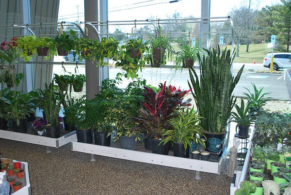 Neueröffnung der Garden Center Petitti