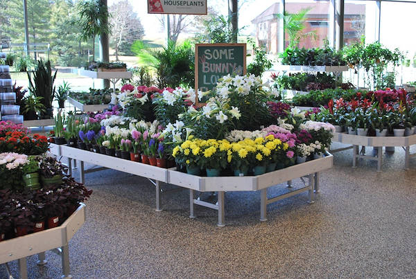 Neueröffnung der Garden Center Petitti