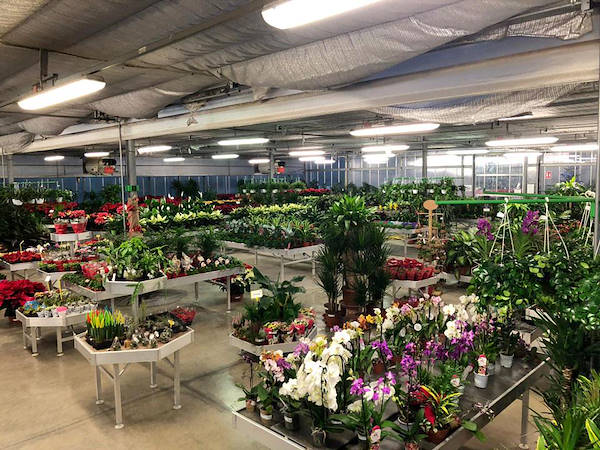 Neues Ausstellungskonzept für Legnaia Vivai