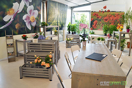 New showroom