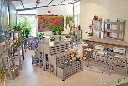 New showroom