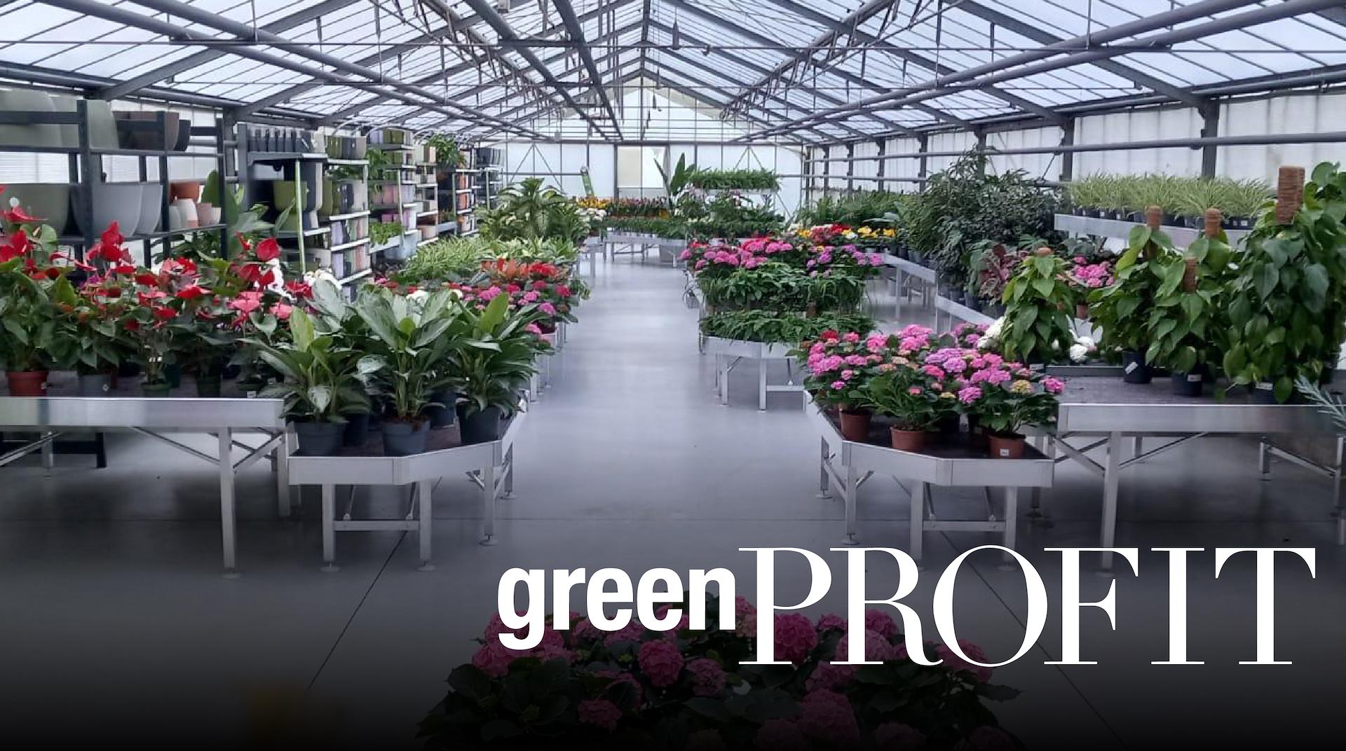 Excerpt from GreenProfit: Interview with Marco Orlandelli