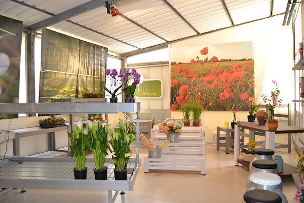Nous vous attendons dans notre nouvelle salle d’exposition ! 