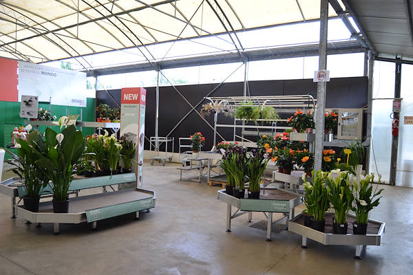 Nous vous attendons dans notre nouvelle salle d’exposition ! 