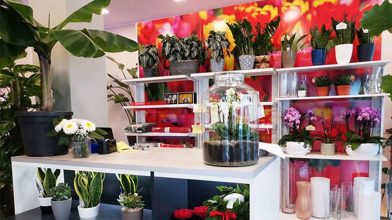 Die "Oasi dei fiori" in Mailand erhält ein neues, junges und elegantes Layout