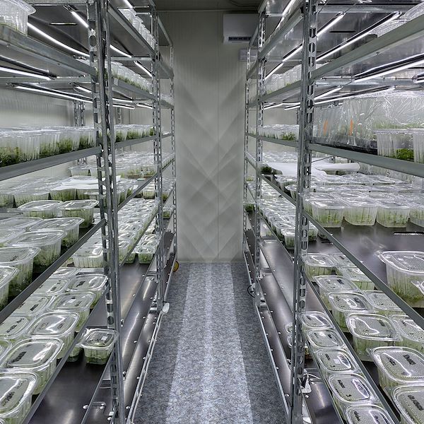 DC-Pflanzenwagen mit LED-Leuchtenset für KEIMUNG UND VEREDELUNG