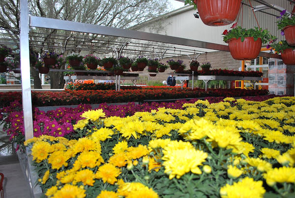 Gallery Home Depot Messico