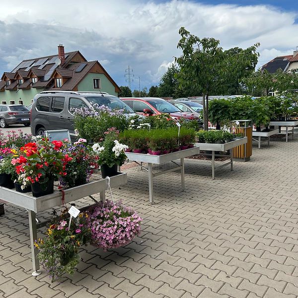 Organizzazione Orlandelli in Prag mit der AICG