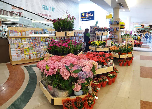 AMOR Linie für den Blumenladen-Zeitungskiosk 