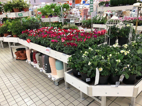 AMOR Holzlinie Farbanpassung 