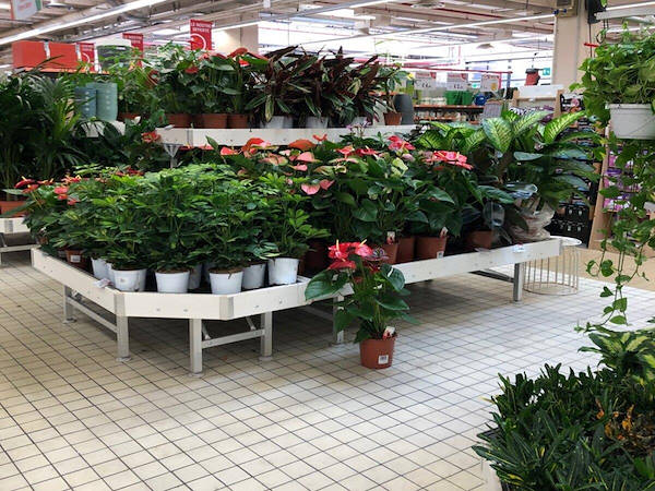 AMOR Holzlinie Farbanpassung 