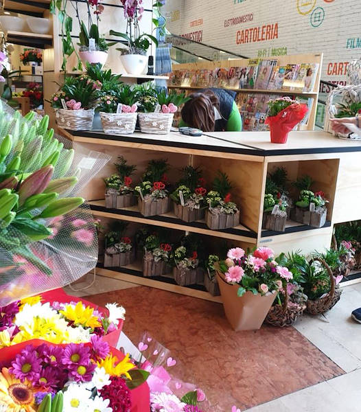 Línea AMOR para floristería-quiosco