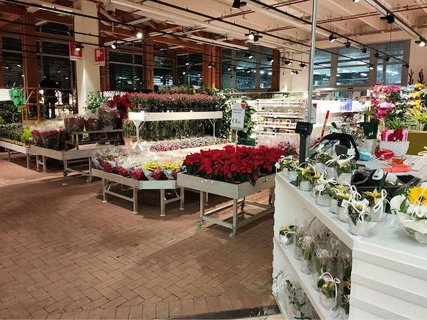 Modernizzazione area espositiva piante e fiori 