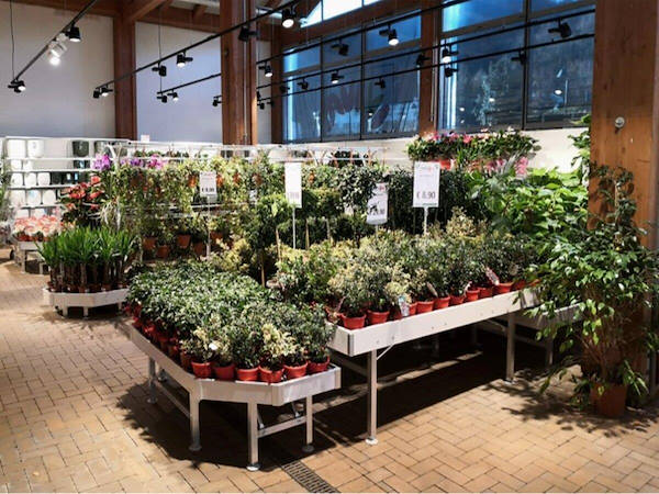 Modernizzazione area espositiva piante e fiori 