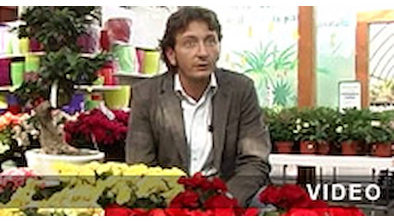 Organizzazione Orlandelli présentation vidéo
