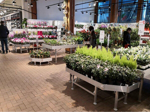 معرض تحديث نباتات وزهور	