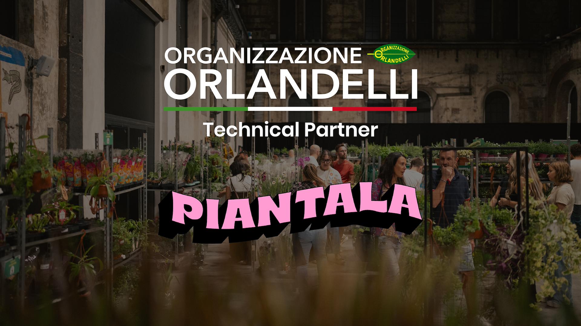 Orlandelli und Piantala: Einrichtung für den Dschungel in der Stadt