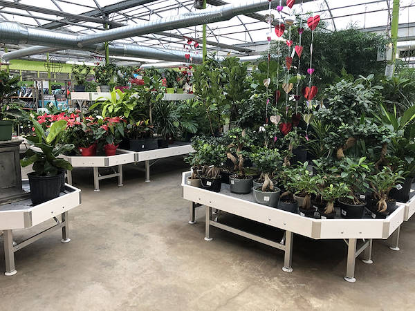 Orlandelli's Ausstellungslösungen ausgewählt für die Auffrischung des Look&Feel von Minter Country Garden