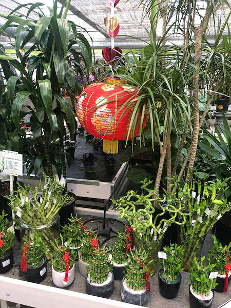 Orlandelli's Ausstellungslösungen ausgewählt für die Auffrischung des Look&Feel von Minter Country Garden