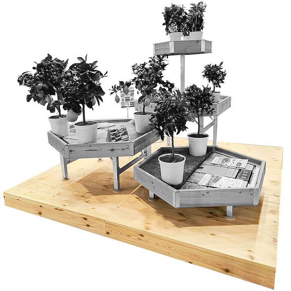 Plataforma expositora en madera natural