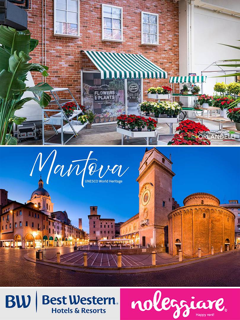 Planifique el futuro de su tienda con nosotros: visite nuestra sala de exposición en Mantua