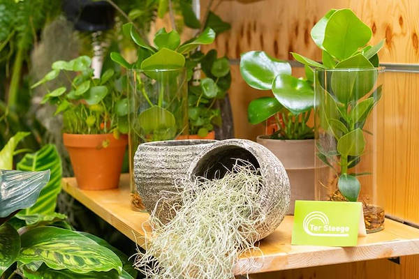 Plantarium