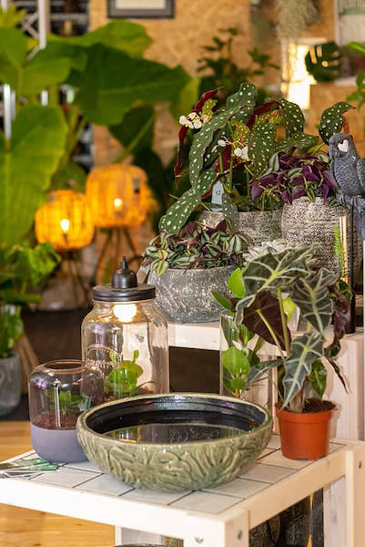 Plantarium