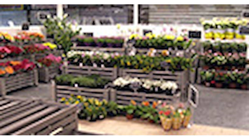 Punto de Venta de plantas y flores en Palazzolo (BS)