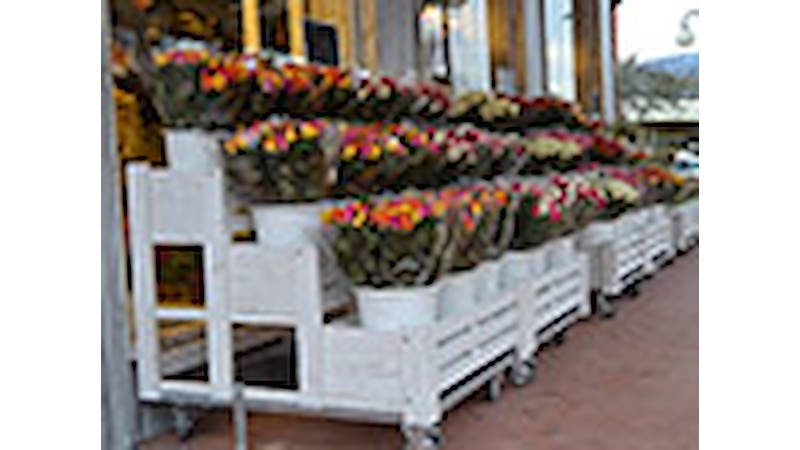 Realización del negocio "Flores Flores" - Borgo Buggiano